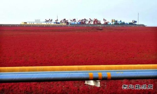 国内石油竟然这么“绿”CQ9电子官网都不知道？