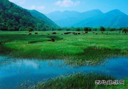 决胜之年，中央政府拿出多少真金白银支持地方治污？