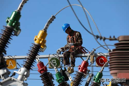 国网九三供电公司：多举并措 强基固本 全力保秋粮