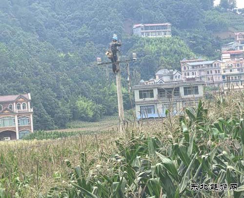 会泽供电局10千伏尹武线频繁停电问题得到根治