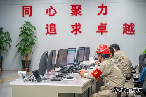 大唐沈东热电公司：全力以赴做好党的二十届四中全会保电工作