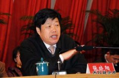 张晓阳：十三五期间 燃料乙醇应由试点转向全面推广