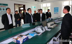 兴凯湖电业局：省电力公司总经理丁扬到兴凯湖电业局调研