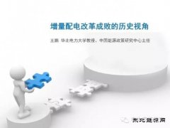 王鹏：配电改革百个试点背后危机四伏