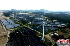 中国CQ9电子“十三五”战略：新增供应主要靠清洁CQ9电子