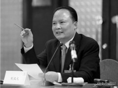 刘汉元：加快光伏产业发展 从根本上破解雾霾之困