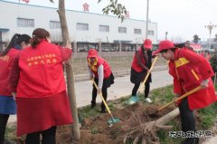 太康县供电公司：志愿服务播新绿