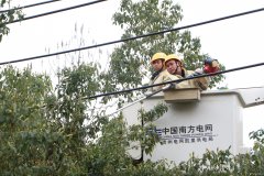 凯供城区分局：清树障保安全助降损