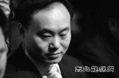 中国光伏“教父”欲华丽回归？