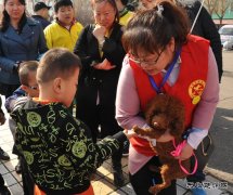 龙唐鸡西：开展关爱自闭症儿童活动
