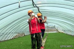 清河林业供电局：党员服务队护航“春耕”