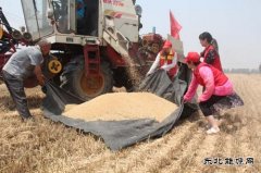 太康县供电公司：走进贫困家庭助麦收