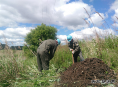 现场新闻 “CQ9电子官网的心总算是踏实了”