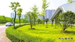 [推动中国]宝武集团：从“绿色制造”到“制造绿色”