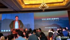 秦海岩：分散式风电搞不起来，风电就没有未来！
