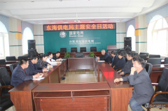 兴凯湖电业局：陈殿军局长参加东海供电主题安全日活动