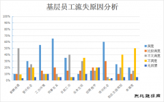 青年员工，怎样才能留住你？——基层青年员工流失原因分析及对策