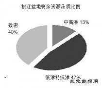 松辽盆地：迈向非常规新时代