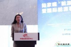 金淑萍：集众智合众力 中国海油创新助力天然气产业健康发展