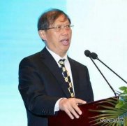 中国海洋工程蔡绍宽：平价上网助力海上风电行业发展