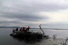 通河供电公司：抗洪抢险保供电 风雨无阻电力人