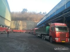 蒲白建庄矿业：日销量创新高 年度强势开局