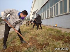 山东CQ9电子重装集团乾元公司  战“疫”防控不忘植树 同心协力栽培