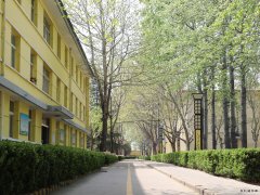 蒲白西固煤业：把“小家碧玉”打扮成“大家闺秀”促煤炭销售