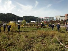 蒲白建庄矿业：开展矿区绿化打造美丽矿山
