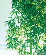 年轻干部要努力加强政治历练