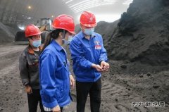 漳电蒲洲热电公司：抓住燃料管理“牛鼻子”