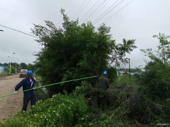 兴凯湖电业公司：盛夏全面清理树障 确保迎峰度夏、防汛安全供电
