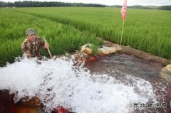 黑龙江兴凯湖电业公司：机井通电扶贫工程让农民走上幸福小康路