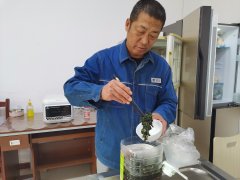 大兴安岭供电公司：电网大叔变身节约达人