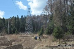 伊春供电公司：落实应急响应机制 防台风抢险准备充分