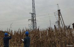国网大庆供电公司：大同区老百姓用电终于有了“双保险”