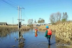 佳木斯供电公司：全力巡检线路设备，柳树岛全面恢复供电
