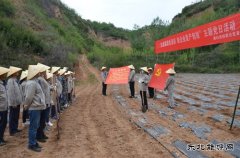 蒲白矿业技校联合党委：“党建+”引领产教融合“跑起来”