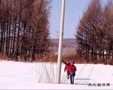兴凯湖电业公司：最美人间三月天，踏雪巡线正当时