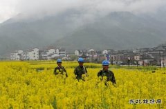 源县供电公司：积极备战 为油菜花旅游旺季提供可靠电力保障