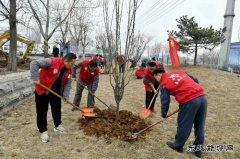 潞安焦化：开展“学党史、植绿树，为团旗添彩”志愿活动
