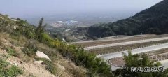 蒲洲热电公司：践行“两山”理论 倡导绿色文化 实现清洁生产