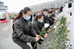 太康县供电公司：清明祭英烈 精神永传承
