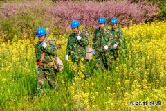江西婺源：花香“电亮”农家乐