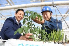 国网大庆供电公司：电能替代助力棚室经济发展步入快车道