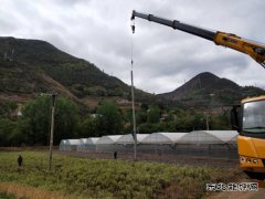 会泽集能公司对线路安全整改辣椒大棚安全育苗