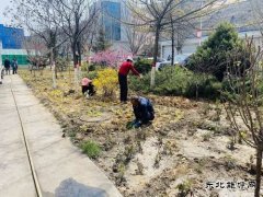 陕煤陕北矿业涌鑫公司：添绿抖尘  矿区处处展“新颜”