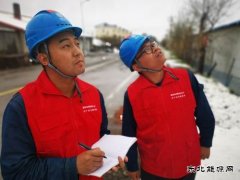 国网大兴安岭供电公司：雪后特巡 保电在行动