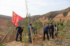 陕煤陕北矿业涌鑫公司：争做党史学习“领头雁”