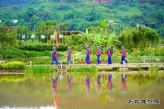  那些年、这些年，李庄的用电事儿……